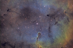 IC1396